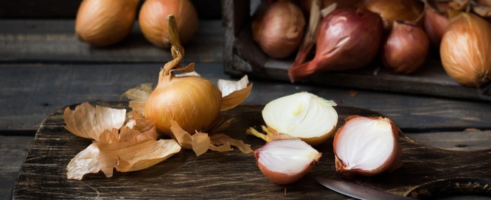 Why You Should NEVER Throw Away Onion Skins