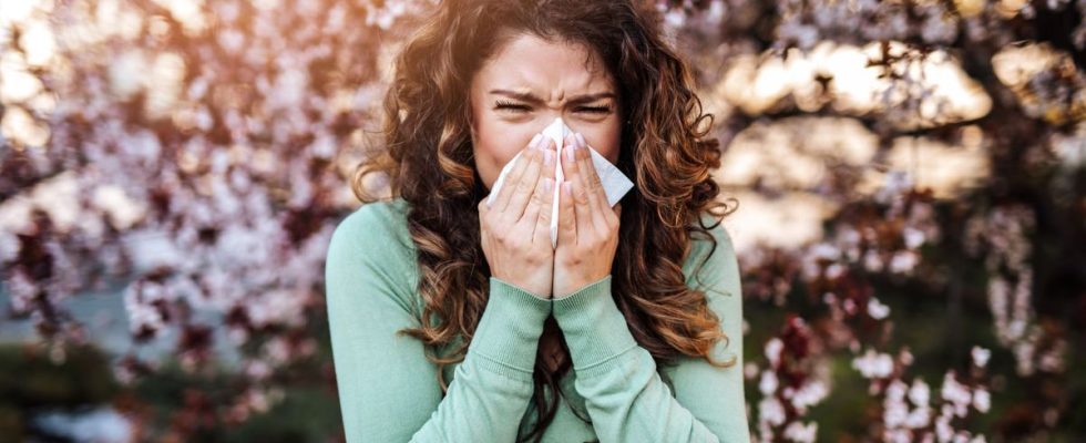 Why are we more and more allergic to pollen