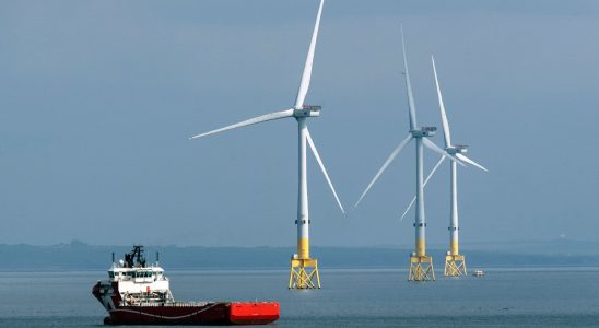 Wind turbines a bad wind is blowing on the sector