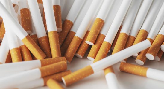 World No Tobacco Day Five things to know about cigarettes