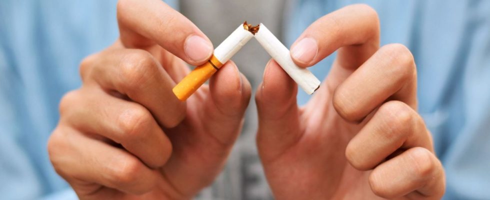 World No Tobacco Day five apps to permanently quit smoking