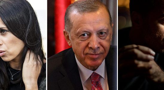 World leader or fascist Different opinions about Erdogan before the