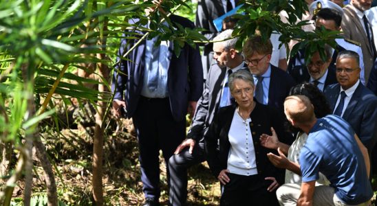 in Reunion Elisabeth Borne continues to face dispute over pensions