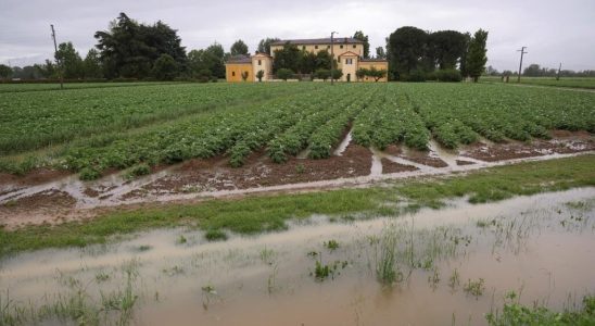 the floods are likely to cause an economic and food