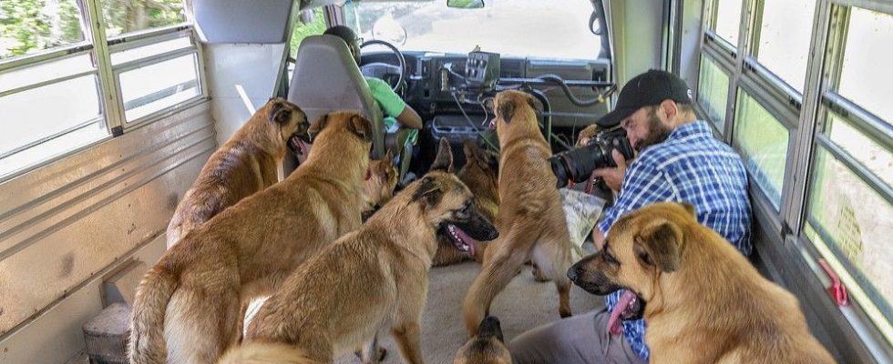 1685963643 Haldimand filmmaker chronicles Norfolk mans Bark Bus