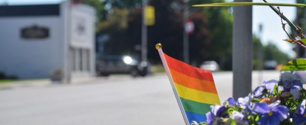 1687136182 Pride flags stolen in Norwich flashpoint in anti LGBTQ backlash