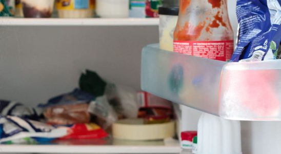 20 tips for keeping the fridge running smoothly