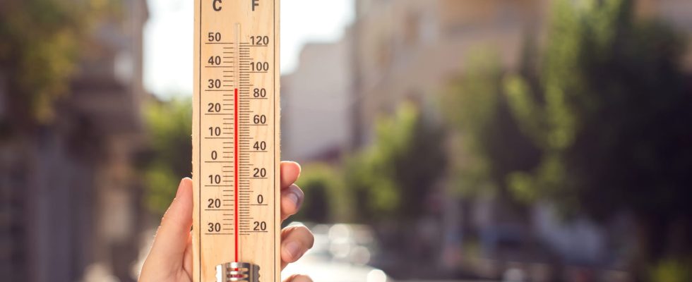 2023 heat wave plan the governments 15 key actions for