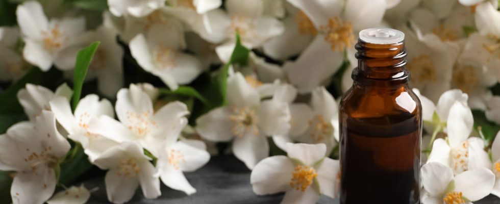 4 benefits of neroli essential oil and how to use