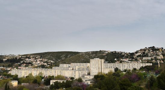 A major Marseille drug trafficker arrested near Oran