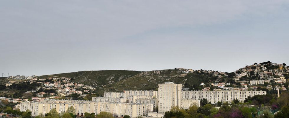 A major Marseille drug trafficker arrested near Oran