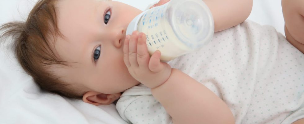 Baby food at 4 months heading for diversification