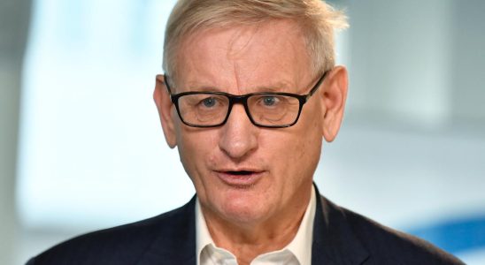 Bildt The new foreign minister is undoubtedly competent