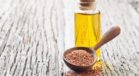 Camelina oil benefit danger how to use it