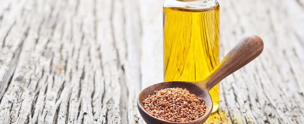 Camelina oil benefit danger how to use it