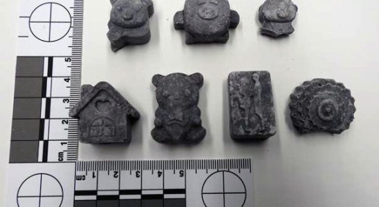 Cartoon shaped fentanyl still a mystery as Sarnia dealer heads to