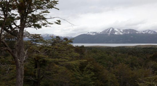 Chile strengthens protection for its biodiversity