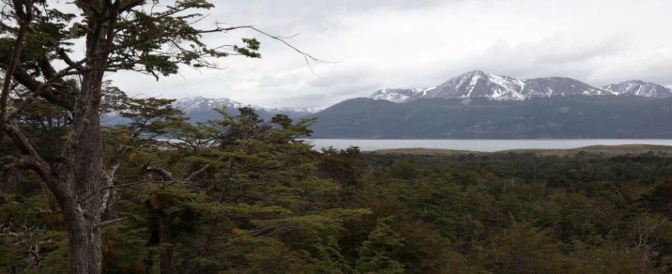 Chile strengthens protection for its biodiversity