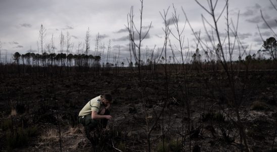 Climate crisis Europe is warming twice as fast as the