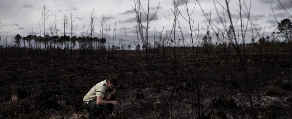 Climate crisis Europe is warming twice as fast as the