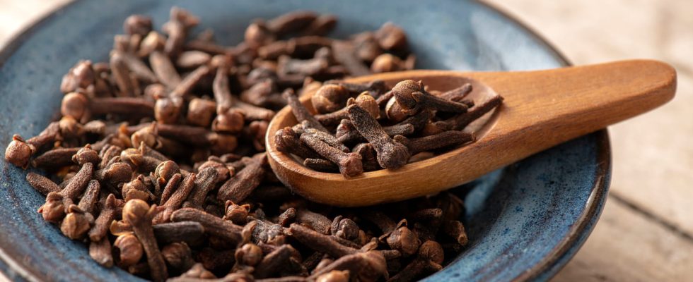 Clove benefits mouthwash infusion