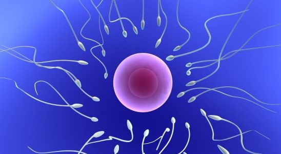 Covid 19 can alter sperm quality for up to a year