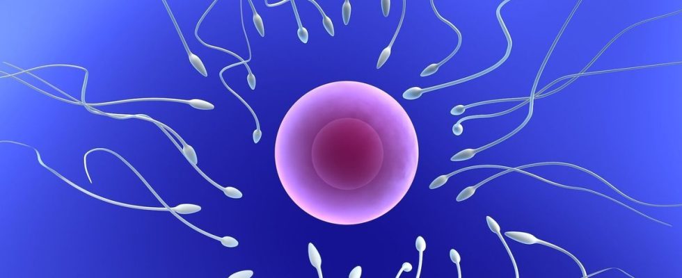 Covid 19 can alter sperm quality for up to a year