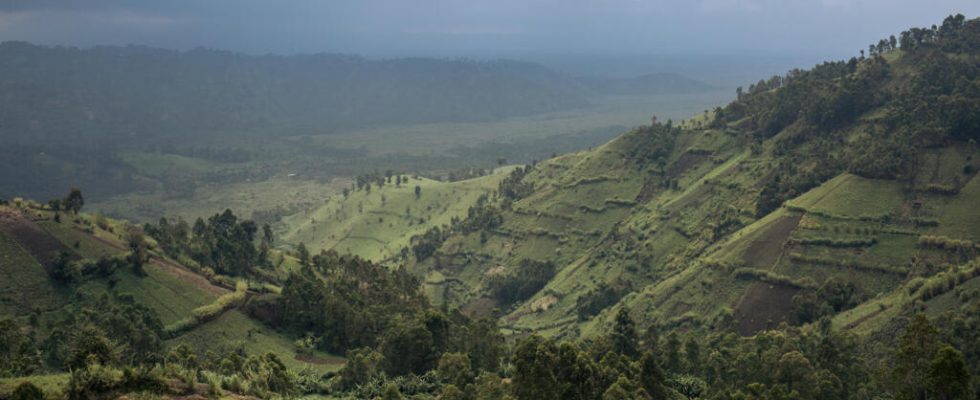 Deadly attack in a high school in Uganda the ADF