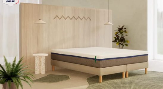 Discover the Tediber Hybrid mattress available from E520