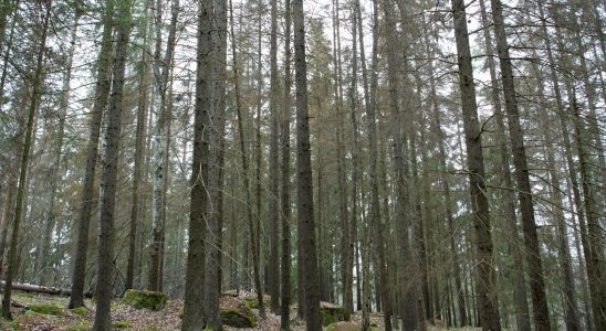 Dry beds for natural disaster in slow motion