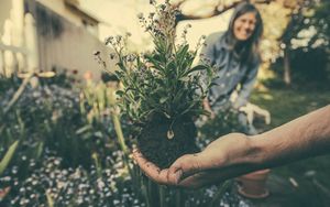 Environment from nursery gardening to climate and economy the future