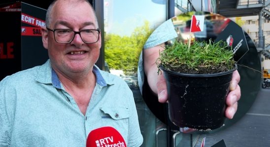 FC Utrecht gets a unique new turf and sells the