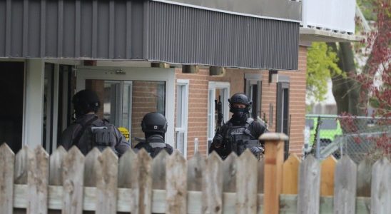 Five months jail for pellet gun standoff with Sarnia police