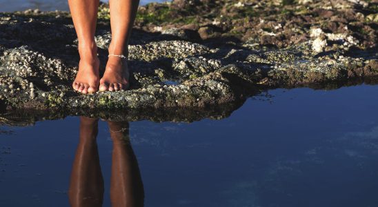 Flesh eating bacteria found on beaches