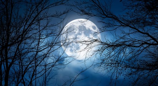 Full moon 2023 what effects on your sign Monday July