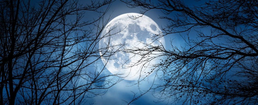 Full moon 2023 what effects on your sign Monday July