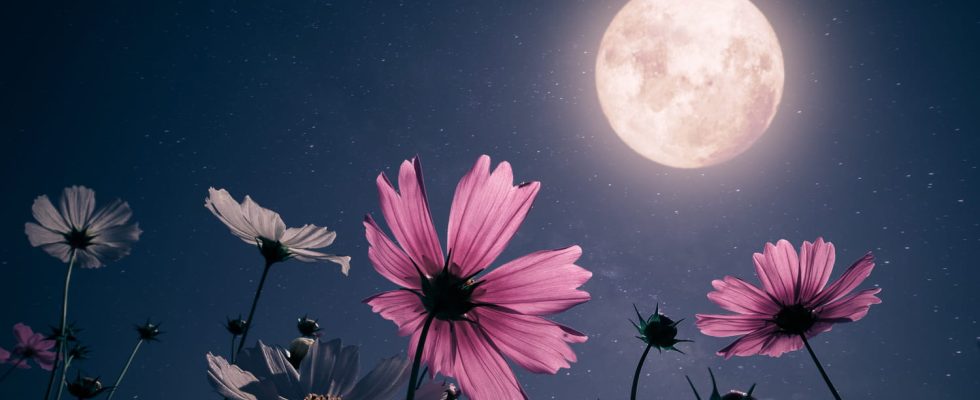 Full moon 2023 which astrological signs are impacted by its