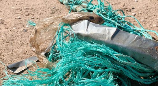 Ghost nets must be cleaned out of Swedish waters