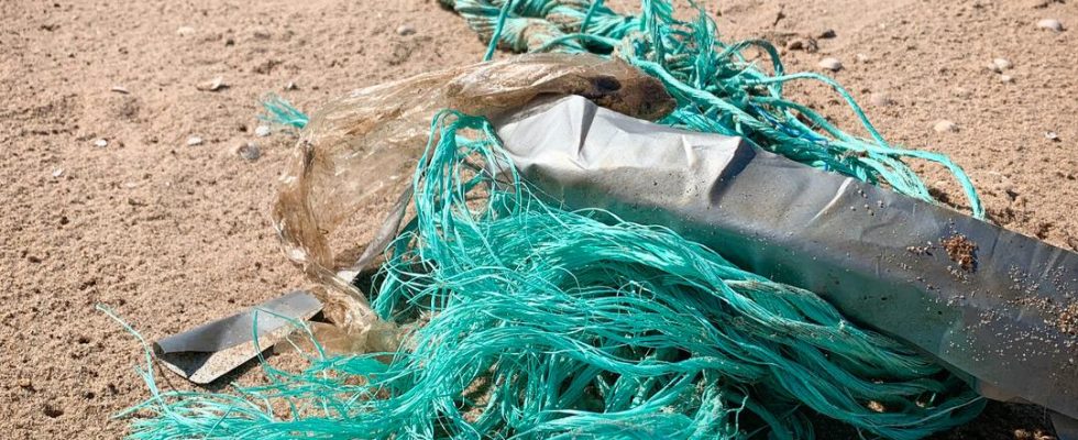 Ghost nets must be cleaned out of Swedish waters