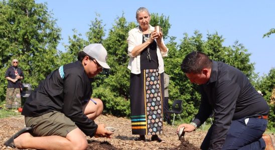 Giving something back Site for 8M Indigenous gathering space dedicated