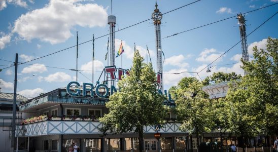 Grona Lund reports the fatal accident