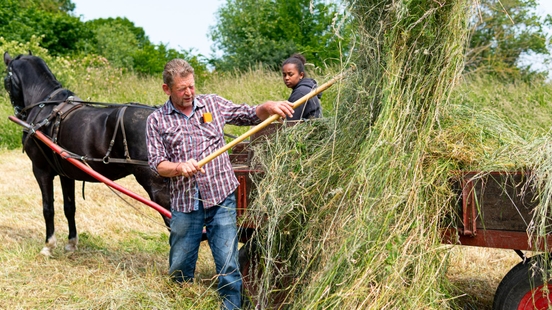 Haymaking with horse and carriage in the middle of Utrecht