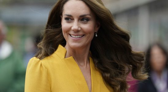 Kate Middleton is no longer entirely brown and announces the