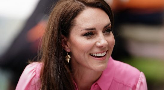 Kate Middleton without make up or brushing shes a woman like