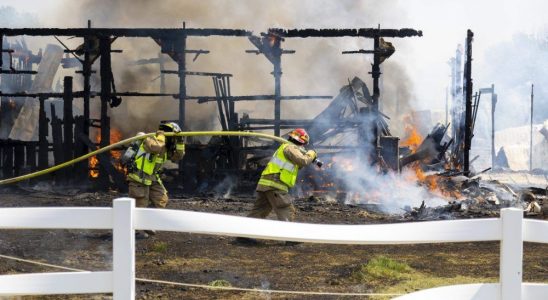 Large blaze tears through London area horse barn