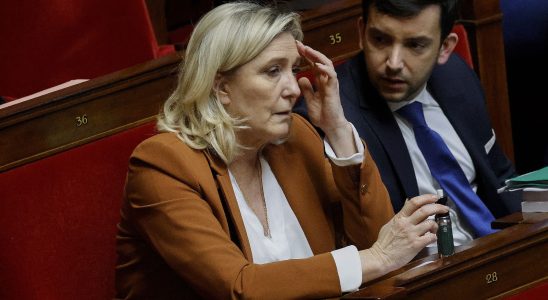 Le Pen and Russia the report that accuses the RN