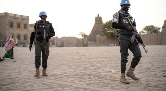 Mali high tension meeting of the UN Security Council on the