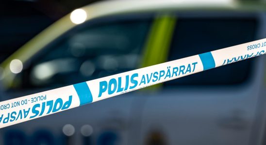 Man detained for murder in Gavle