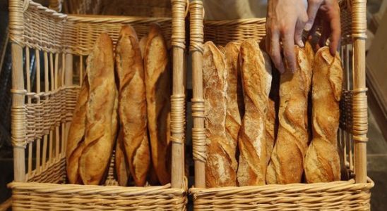 Marie Blachere a very French phenomenon investigation into the bakery