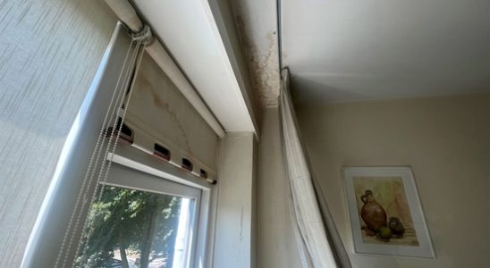 Moldy rental flats in Soest get a new roof